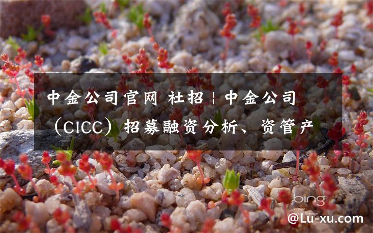 中金公司官网 社招 | 中金公司（CICC）招募融资分析、资管产品、量化开发等岗位（北京）