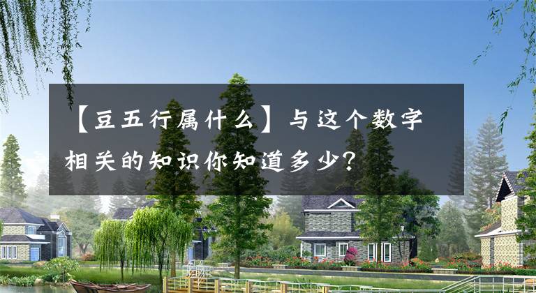 【豆五行属什么】与这个数字相关的知识你知道多少？