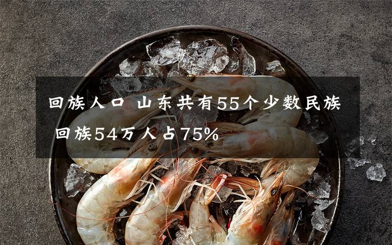 回族人口 山东共有55个少数民族 回族54万人占75%