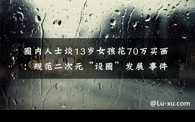 圈内人士谈13岁女孩花70万买画：规范二次元“设圈”发展 事件详细经过！