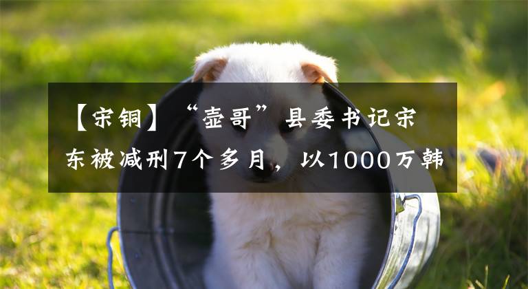 【宋铜】“壶哥”县委书记宋东被减刑7个多月，以1000万韩元以上的贿赂买了紫砂壶。