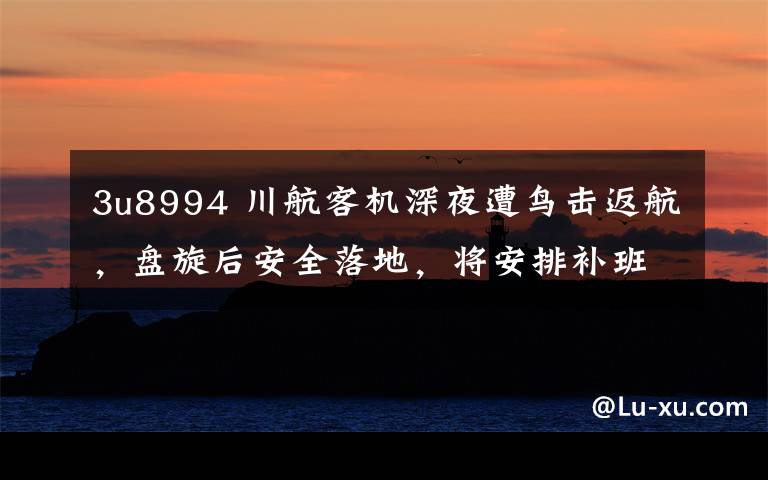 3u8994 川航客机深夜遭鸟击返航，盘旋后安全落地，将安排补班飞机