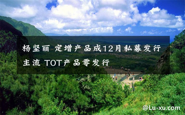 杨坚丽 定增产品成12月私募发行主流 TOT产品零发行