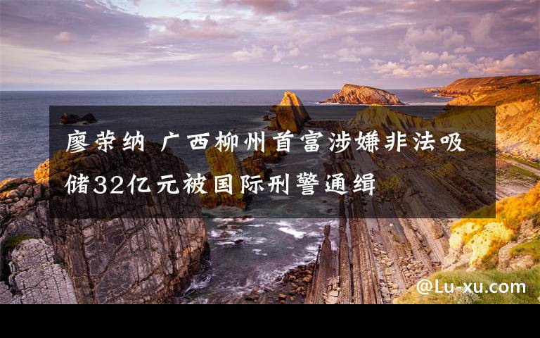 廖荣纳 广西柳州首富涉嫌非法吸储32亿元被国际刑警通缉