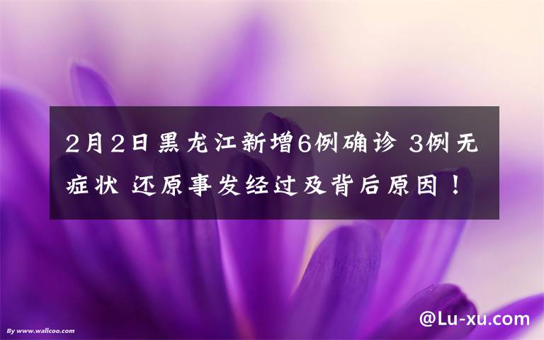 2月2日黑龙江新增6例确诊 3例无症状 还原事发经过及背后原因！