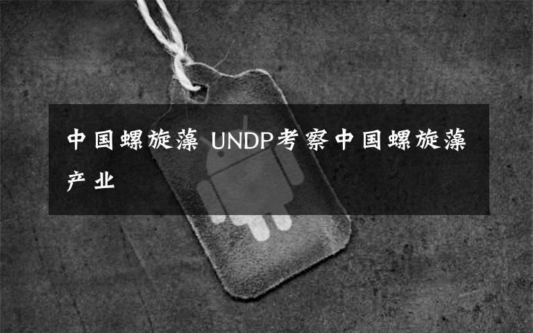 中国螺旋藻 UNDP考察中国螺旋藻产业