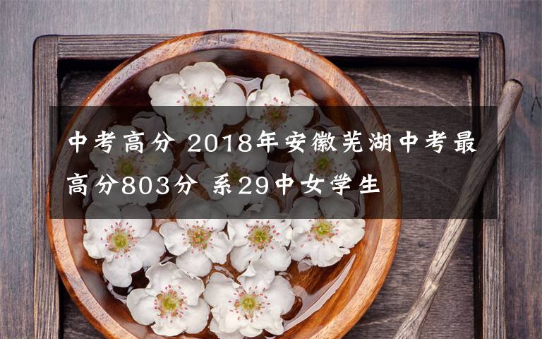 中考高分 2018年安徽芜湖中考最高分803分 系29中女学生