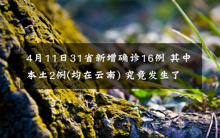 4月11日31省新增确诊16例 其中本土2例(均在云南) 究竟发生了什么?