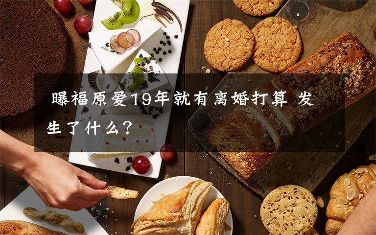  曝福原爱19年就有离婚打算 发生了什么？