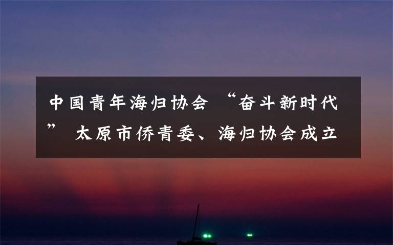 中国青年海归协会 “奋斗新时代” 太原市侨青委、海归协会成立