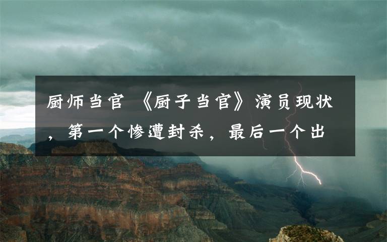 厨师当官 《厨子当官》演员现状，第一个惨遭封杀，最后一个出道多年还没火