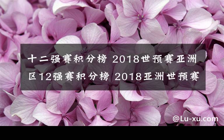 十二强赛积分榜 2018世预赛亚洲区12强赛积分榜 2018亚洲世预赛中国队赛程表