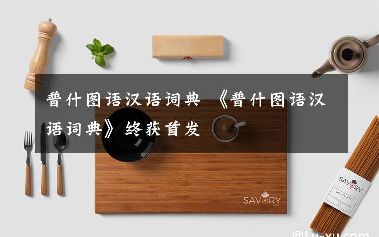 普什图语汉语词典 《普什图语汉语词典》终获首发
