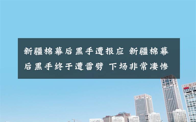 新疆棉幕后黑手遭报应 新疆棉幕后黑手终于遭雷劈 下场非常凄惨