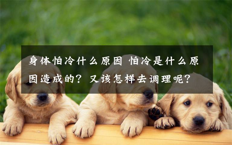 身体怕冷什么原因 怕冷是什么原因造成的？又该怎样去调理呢？