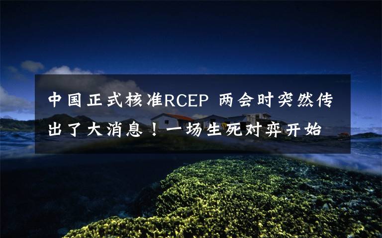 中国正式核准RCEP 两会时突然传出了大消息！一场生死对弈开始了