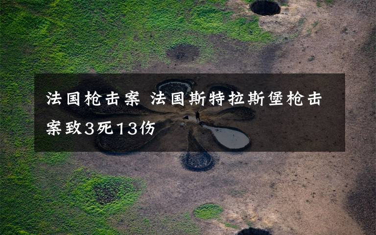 法国枪击案 法国斯特拉斯堡枪击案致3死13伤