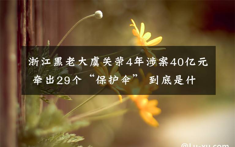 浙江黑老大虞关荣4年涉案40亿元 牵出29个“保护伞” 到底是什么状况？