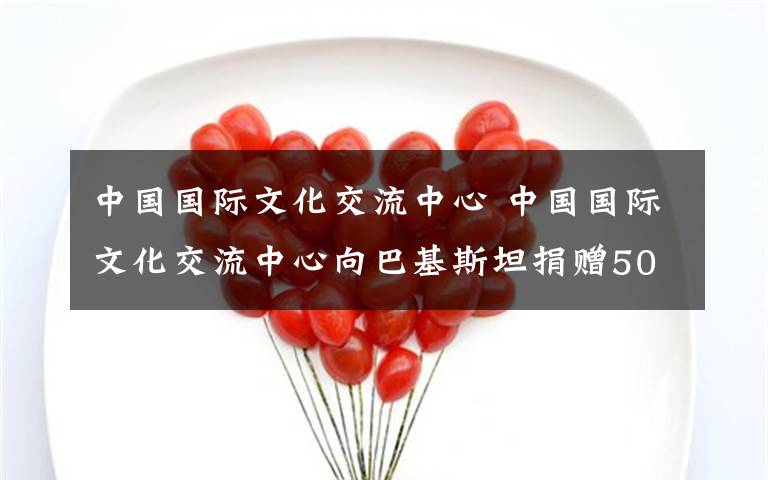 中国国际文化交流中心 中国国际文化交流中心向巴基斯坦捐赠5000只口罩