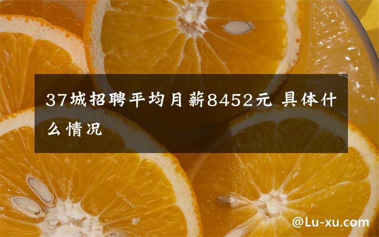 37城招聘平均月薪8452元 具体什么情况