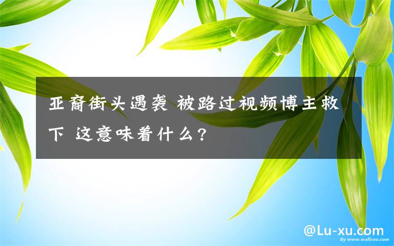 亚裔街头遇袭 被路过视频博主救下 这意味着什么?