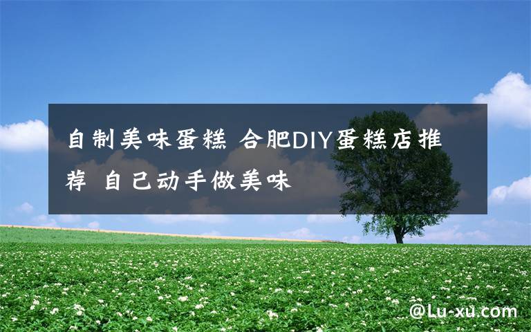 自制美味蛋糕 合肥DIY蛋糕店推荐 自己动手做美味