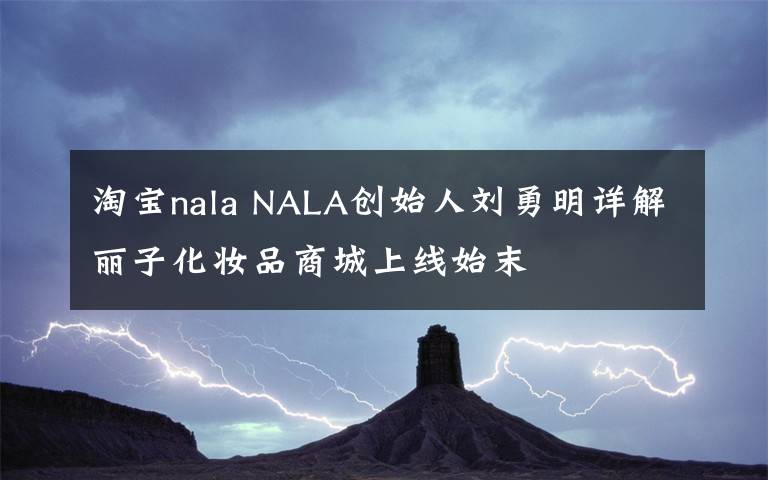 淘宝nala NALA创始人刘勇明详解丽子化妆品商城上线始末