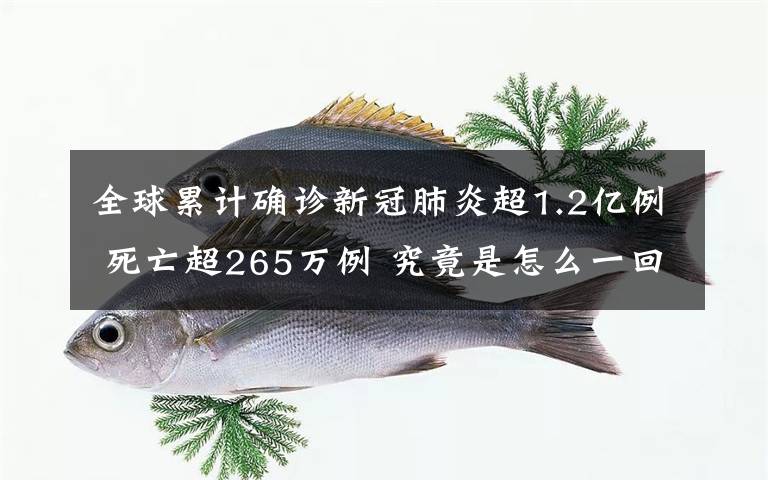 全球累计确诊新冠肺炎超1.2亿例 死亡超265万例 究竟是怎么一回事?