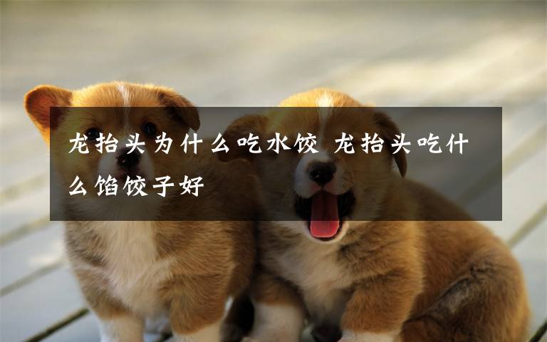龙抬头为什么吃水饺 龙抬头吃什么馅饺子好文章配图