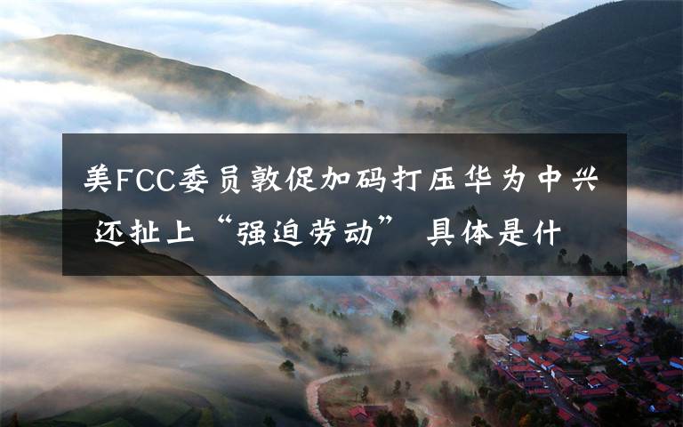 美FCC委员敦促加码打压华为中兴 还扯上“强迫劳动” 具体是什么情况？