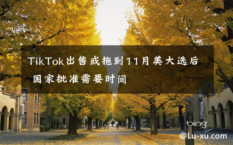 TikTok出售或拖到11月美大选后 国家批准需要时间