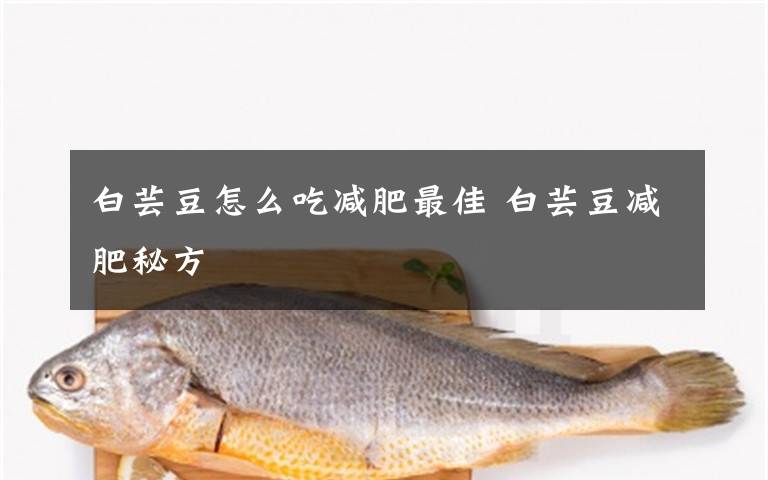 白芸豆怎么吃减肥最佳 白芸豆减肥秘方