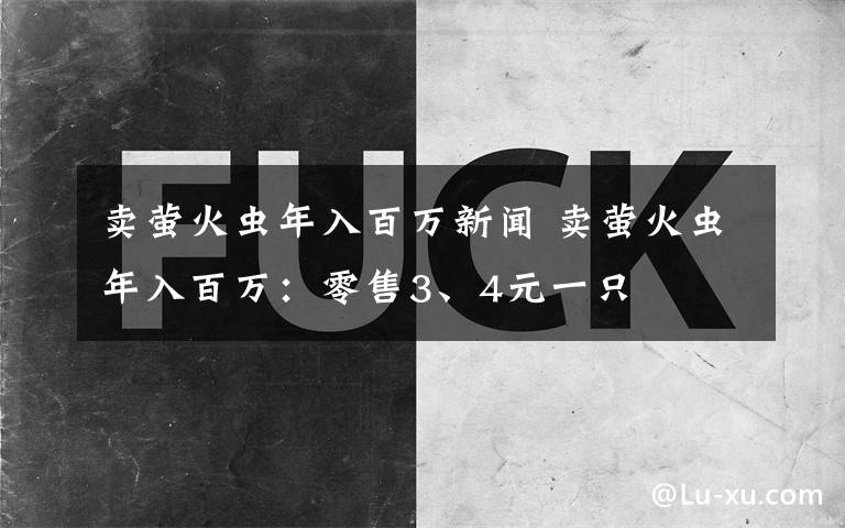 卖萤火虫年入百万新闻 卖萤火虫年入百万：零售3、4元一只