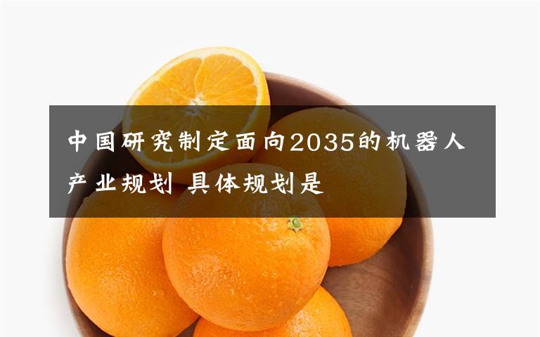 中国研究制定面向2035的机器人产业规划 具体规划是