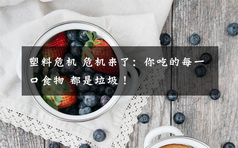 塑料危机 危机来了：你吃的每一口食物 都是垃圾！