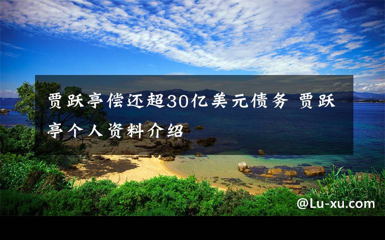 贾跃亭偿还超30亿美元债务 贾跃亭个人资料介绍