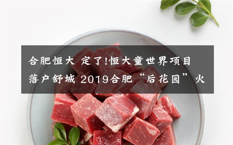 合肥恒大 定了!恒大童世界项目落户舒城 2019合肥“后花园”火了!