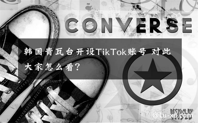 韩国青瓦台开设TikTok账号 对此大家怎么看？