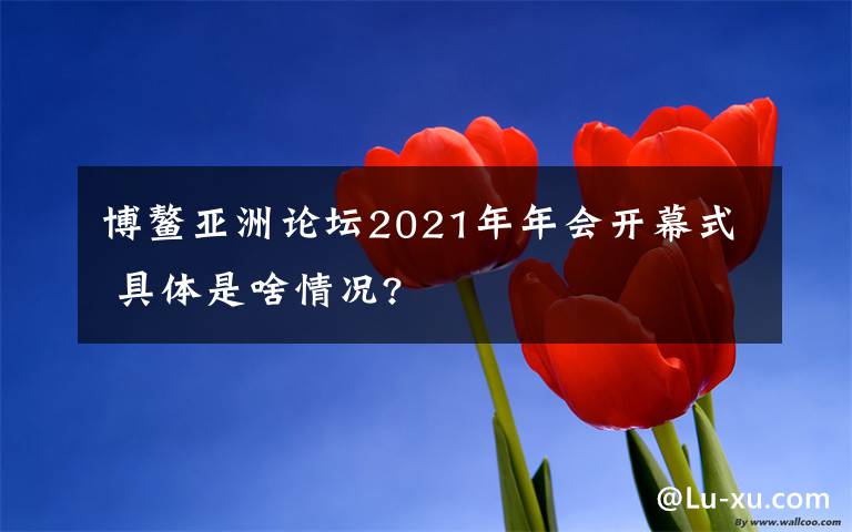 博鳌亚洲论坛2021年年会开幕式 具体是啥情况?