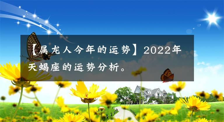 【属龙人今年的运势】2022年天蝎座的运势分析。