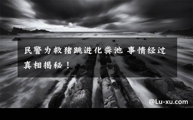 民警为救猪跳进化粪池 事情经过真相揭秘！