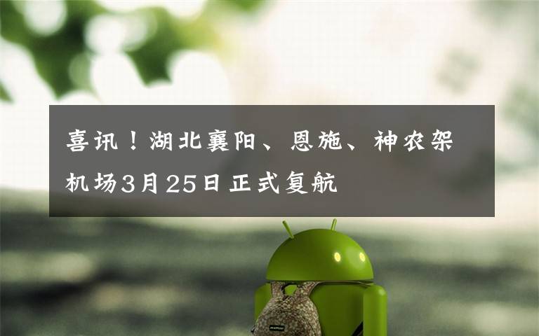 喜讯！湖北襄阳、恩施、神农架机场3月25日正式复航