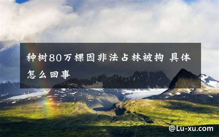 种树80万棵因非法占林被拘 具体怎么回事