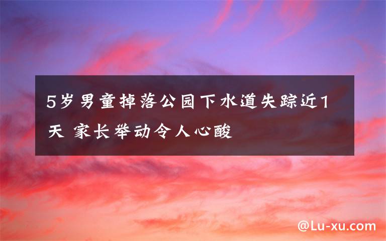 5岁男童掉落公园下水道失踪近1天 家长举动令人心酸