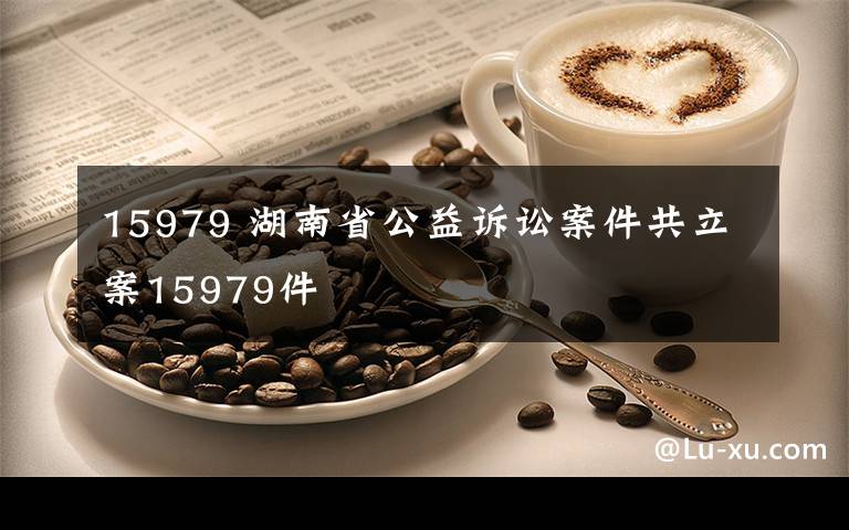 15979 湖南省公益诉讼案件共立案15979件