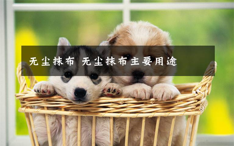 无尘抹布 无尘抹布主要用途