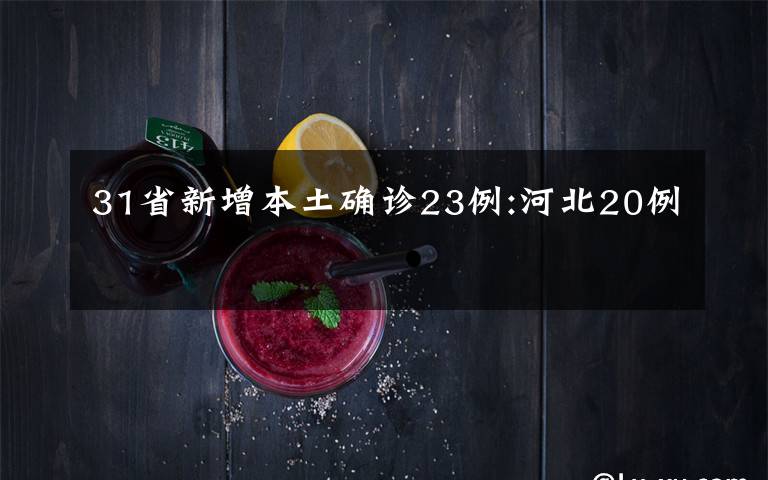 31省新增本土确诊23例:河北20例