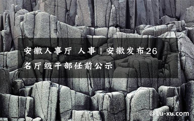 安徽人事厅 人事 | 安徽发布26名厅级干部任前公示