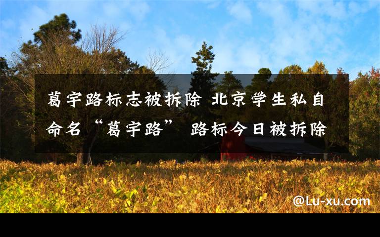 葛宇路标志被拆除 北京学生私自命名“葛宇路” 路标今日被拆除