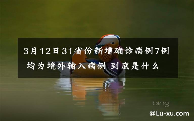 3月12日31省份新增确诊病例7例 均为境外输入病例 到底是什么状况？